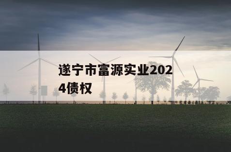 遂宁市富源实业2024债权