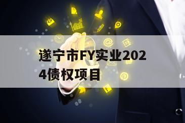 遂宁市FY实业2024债权项目