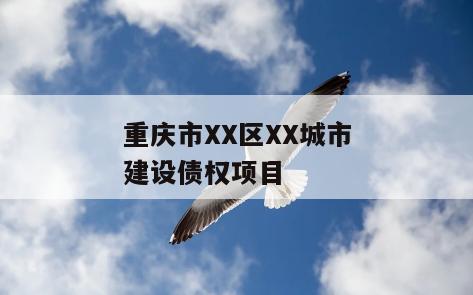 重庆市XX区XX城市建设债权项目