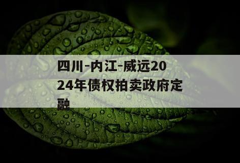 四川-内江-威远2024年债权拍卖政府定融