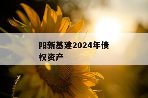阳新基建2024年债权资产