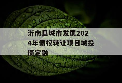沂南县城市发展2024年债权转让项目城投债定融