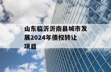 山东临沂沂南县城市发展2024年债权转让项目