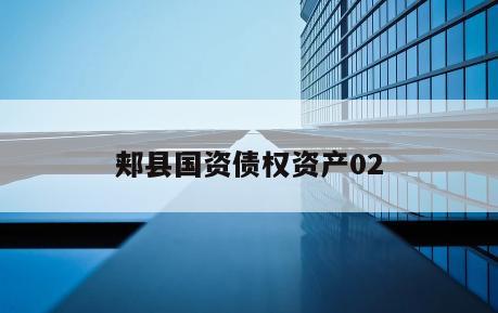 郏县国资债权资产02