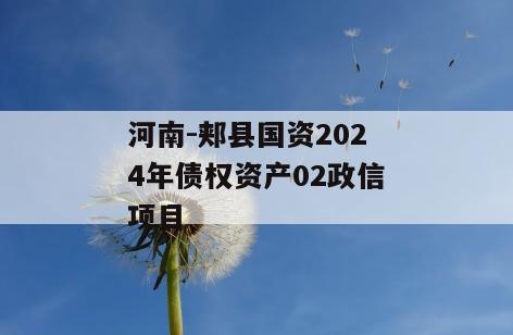 河南-郏县国资2024年债权资产02政信项目