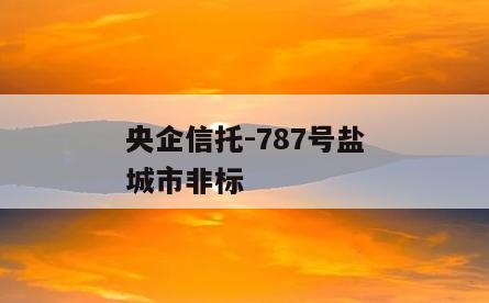 央企信托-787号盐城市非标