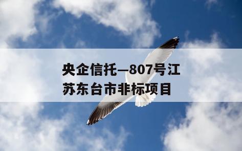 央企信托—807号江苏东台市非标项目
