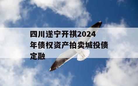 四川遂宁开祺2024年债权资产拍卖城投债定融