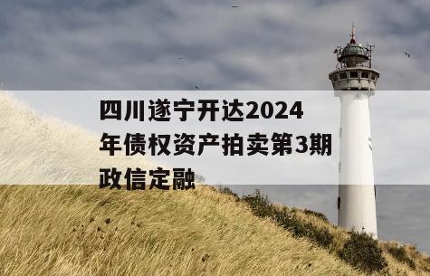 四川遂宁开达2024年债权资产拍卖第3期政信定融