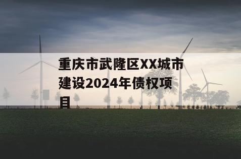 重庆市武隆区XX城市建设2024年债权项目
