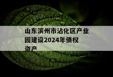 山东滨州市沾化区产业园建设2024年债权资产
