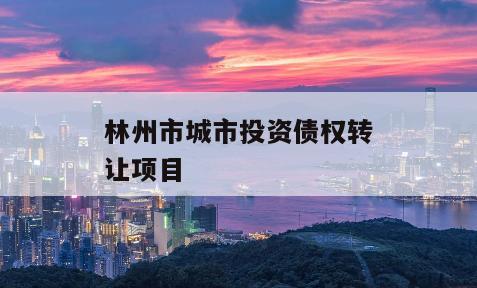 林州市城市投资债权转让项目