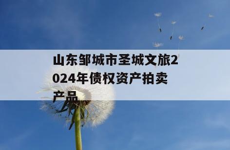 山东邹城市圣城文旅2024年债权资产拍卖产品