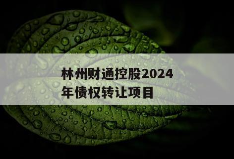 林州财通控股2024年债权转让项目