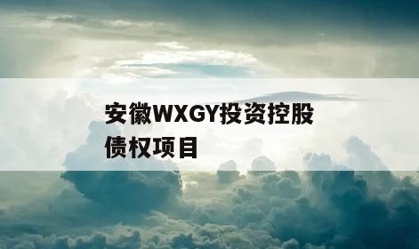 安徽WXGY投资控股债权项目
