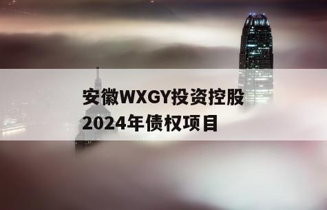 安徽WXGY投资控股2024年债权项目
