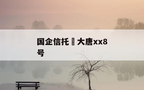 国企信托•大唐xx8号