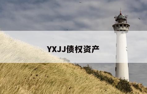 YXJJ债权资产
