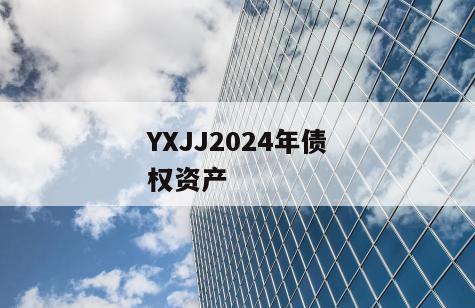 YXJJ2024年债权资产