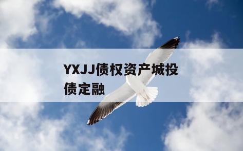 YXJJ债权资产城投债定融