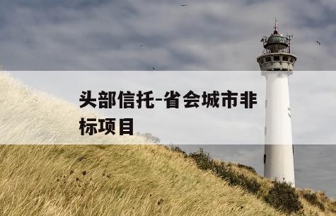 头部信托-省会城市非标项目
