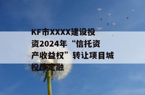 KF市XXXX建设投资2024年“信托资产收益权”转让项目城投债定融