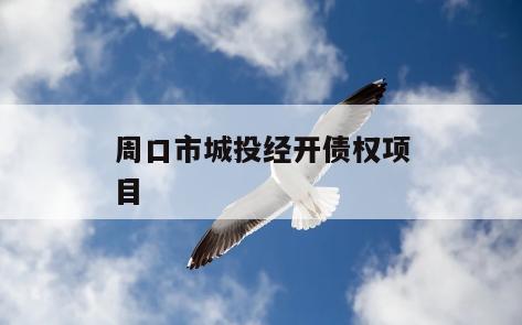 周口市城投经开债权项目