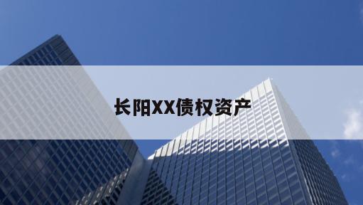 长阳XX债权资产