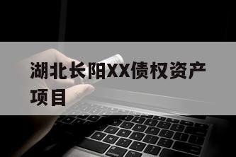 湖北长阳XX债权资产项目