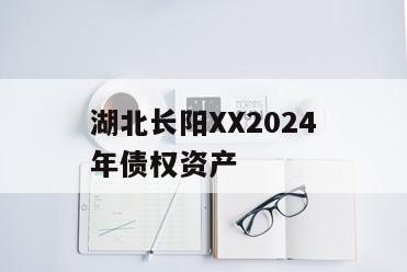 湖北长阳XX2024年债权资产