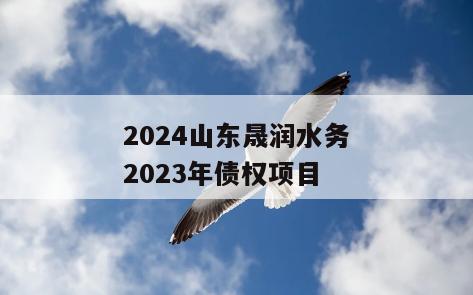 2024山东晟润水务2023年债权项目