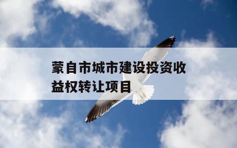 蒙自市城市建设投资收益权转让项目