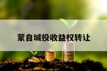 蒙自城投收益权转让