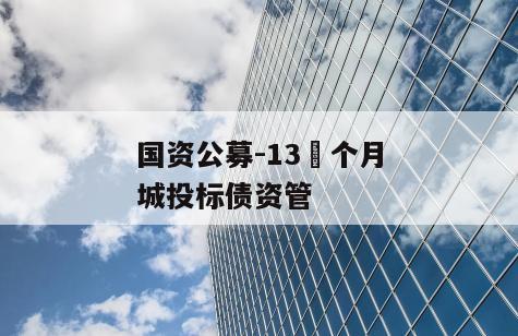 国资公募-13 个月城投标债资管