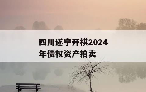 四川遂宁开祺2024年债权资产拍卖