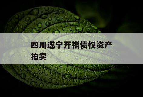 四川遂宁开祺债权资产拍卖