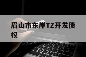 眉山市东岸TZ开发债权