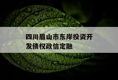四川眉山市东岸投资开发债权政信定融