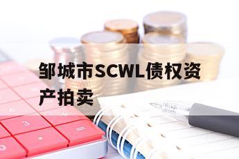 邹城市SCWL债权资产拍卖