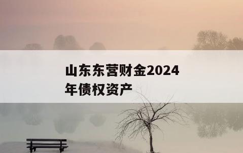 山东东营财金2024年债权资产