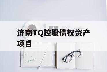济南TQ控股债权资产项目