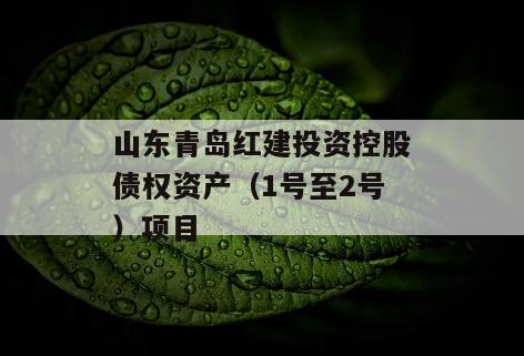 山东青岛红建投资控股债权资产（1号至2号）项目
