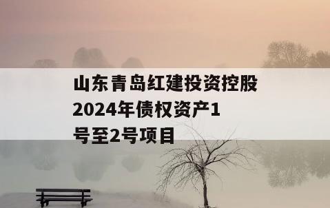 山东青岛红建投资控股2024年债权资产1号至2号项目