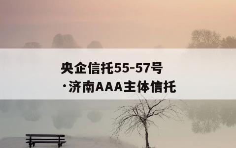 央企信托55-57号·济南AAA主体信托