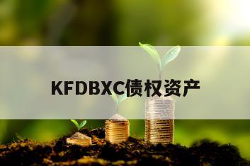 KFDBXC债权资产