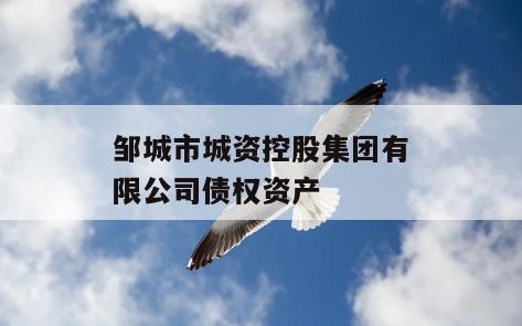 邹城市城资控股集团有限公司债权资产