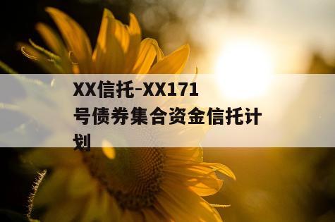 XX信托-XX171号债券集合资金信托计划