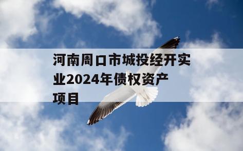 河南周口市城投经开实业2024年债权资产项目