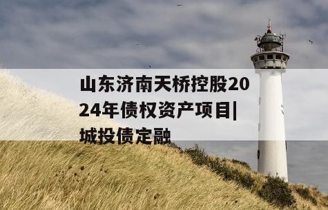 山东济南天桥控股2024年债权资产项目|城投债定融