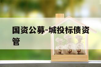 国资公募-城投标债资管
